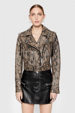 Leather Rebecca Minkoff Janis Python Fringe Moto Femme Python Printed Foil | 27ANCPTKZ