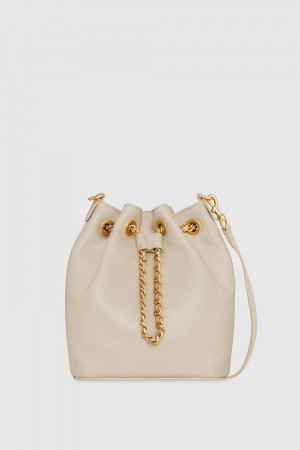 Sac Bandoulière Rebecca Minkoff Chain Bucket Crossbody Femme Marron | 95ROIAKWH
